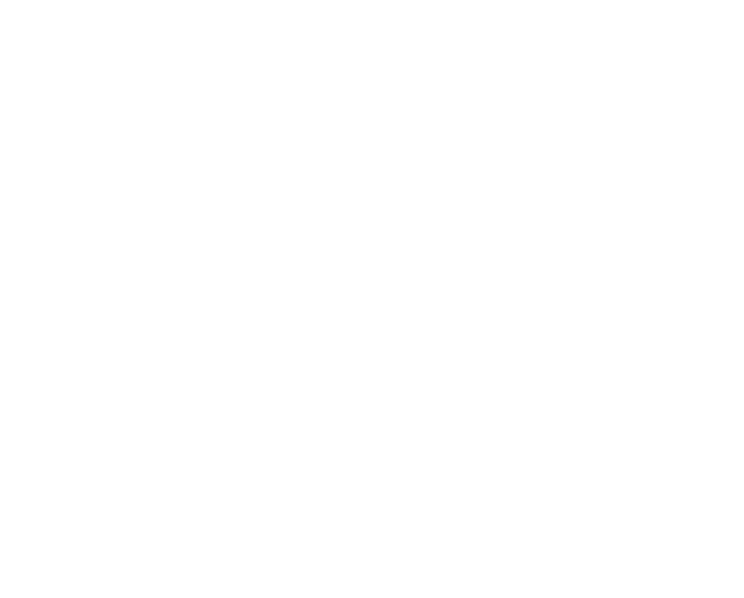 Loewenhain Cycling Club Logo