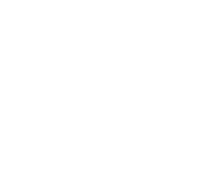 Loewenhain Workshop Logo